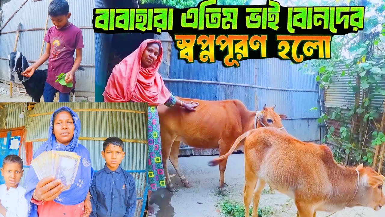 বাবাহারা এতিম ভাই বোনদের স্বপ্নপূরণ হলো