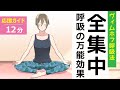 【12分】実践！ヴィムホフ呼吸法／病気にならない体をつくる【本要約実践】