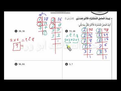 اوراق العمل الداعمة الوحدة 7 تاسع الفصل الثاني المقادير الجبرية والنسبية ابو ورد المساعيد ادعمونا