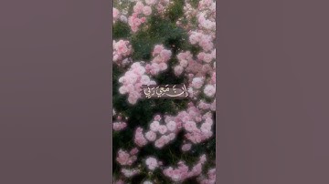 #quran #تلاوة_قرآن #القرآن_الكريم #qurankareem #quranforthesoul #تلاوة_مؤثرة #تلاوة_خاشعة