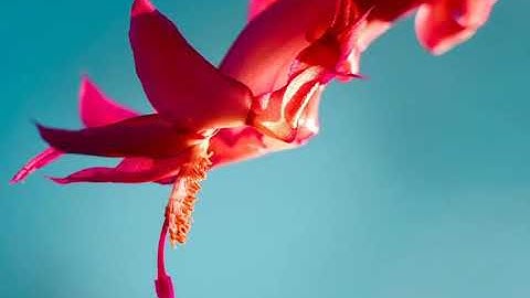 071   سورة نوح
