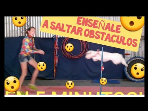 Cómo le enseño