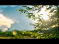 Relaxing Sleep Music • Deep Sleeping Music, Relaxing, Stress Relief, Soothing Sleep Meditation Music
