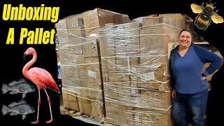 Unboxing a pallet Full of Bees, Flamingos & Fish Check out all the new items!