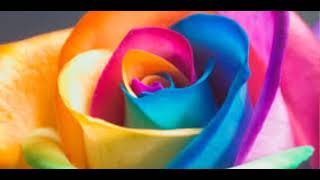 Seeing Opportunity in Obstacles | Motivational Stories | Inspirational Stories |