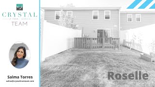 1261 Downing St Roselle, Il 60172 Salma Torres Roselle Real Estate Broker