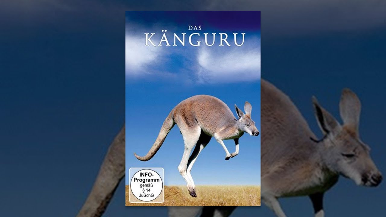 Das Känguru
