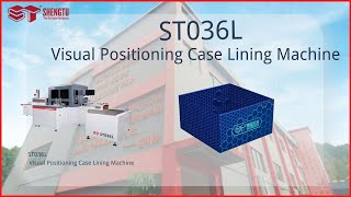 Visual Positioning Case Lining Machine