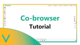 VEDAMO Virtual Classroom - How to Use the Co-browsing Feature