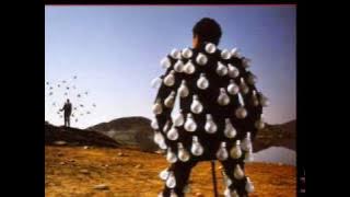 Wish You Were Here Delicate Sound of Thunder