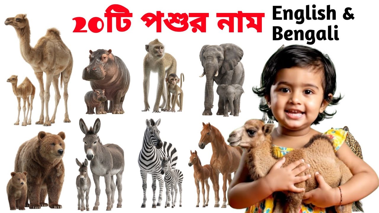20 Animals Name in English and Bengali with Sound | পশুর নাম ও শব্দ | Kids Learning|বাচ্চাদের জন্য🐒🐘