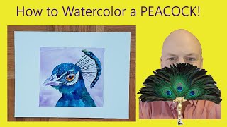 peacock easy paint watercolor