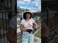 Mass fish kill chokes waterways in Byron region after ex-Tropical Cyclone Alfred