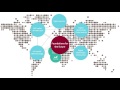 BDO Global IT