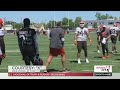 Mike vrabel active at browns otas  sports4cle 53024
