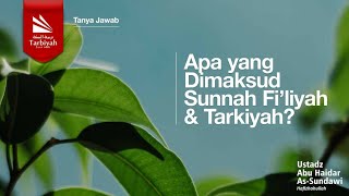Apa yang Dimaksud Sunnah Fi'liyah & Tarkiyah - Ustadz Abu Haidar as-Sundawy حفظه الله