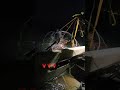 **Hooping**Limit Of Spiny Lobster One Pull #fishing #lobster #socal