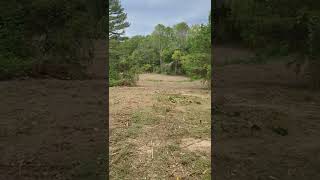 Day 2 - Southside pasture