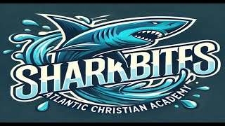 SHARKBITES 9/15