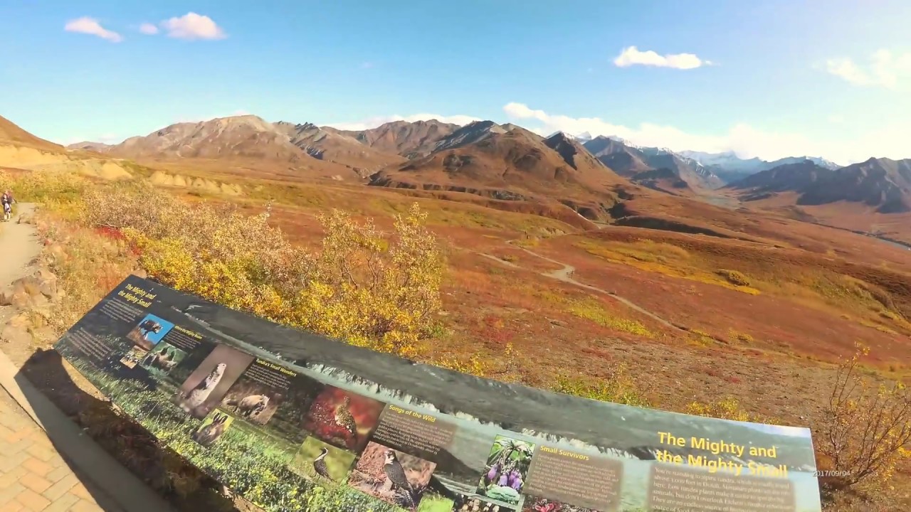 Denali visitor center
