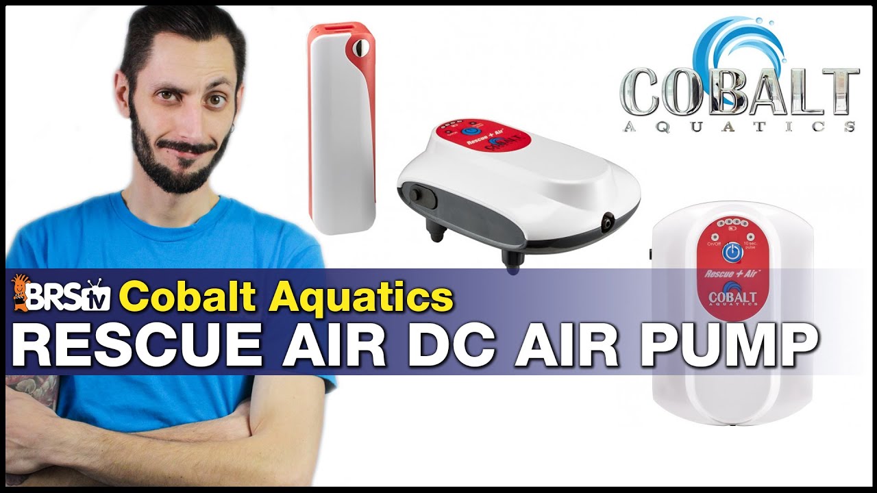 Cobalt Aquatics Rescue Air: рифовый аквариум или экстренная ситуация QT? Защита воздушного насоса...