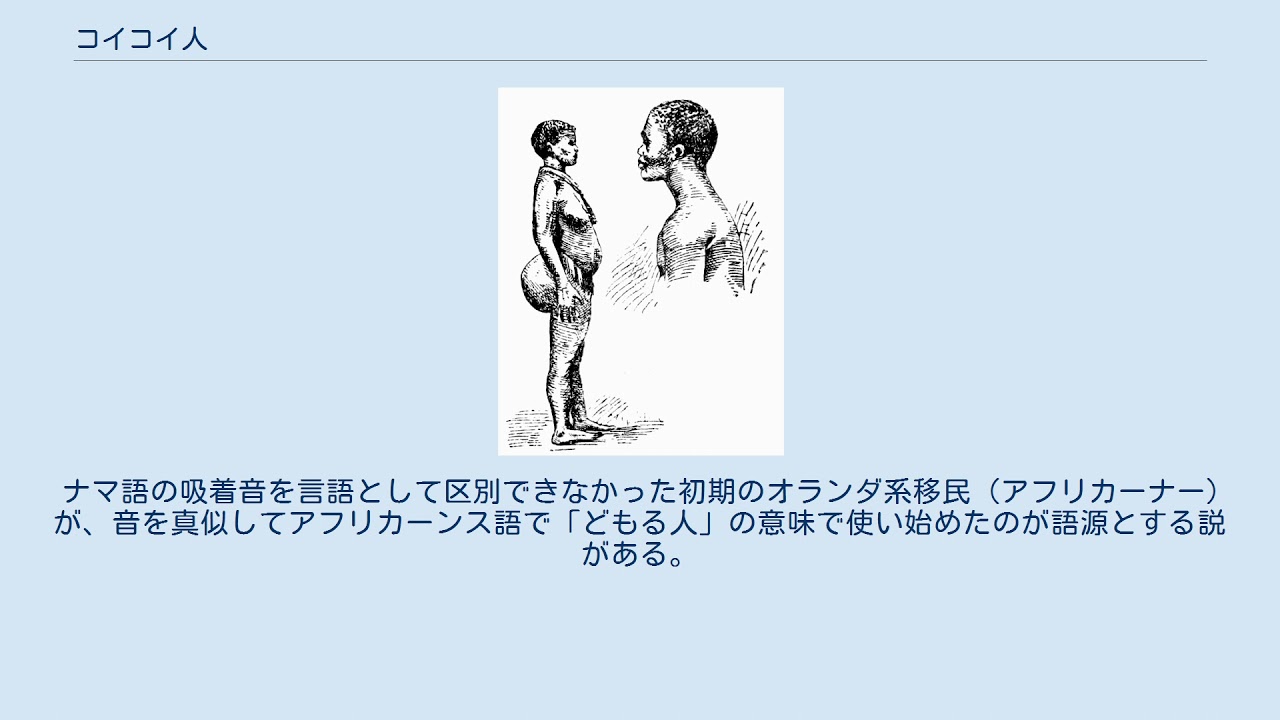 コイコイ人 Youtube