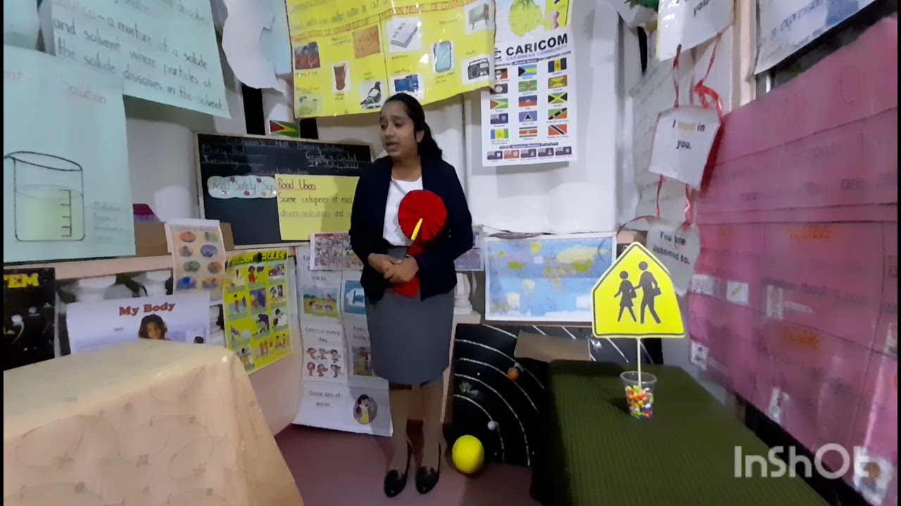 Final Teaching Practice, Ravita Sanchar, Social Studies, Road Safety Signs 