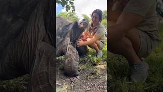 Turtles are Racist?