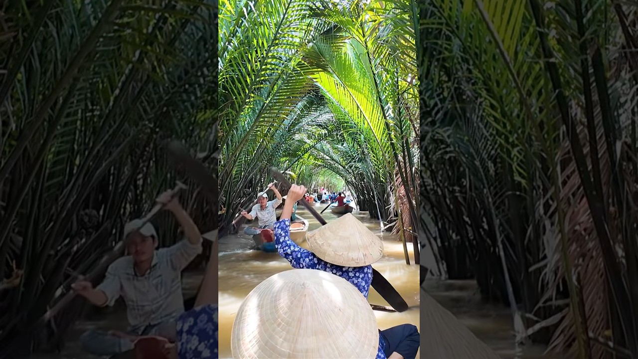 Mekong River Delta, Vietnam 🇻🇳.       