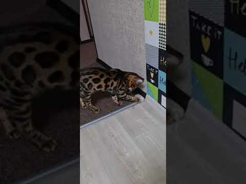кто сказал что