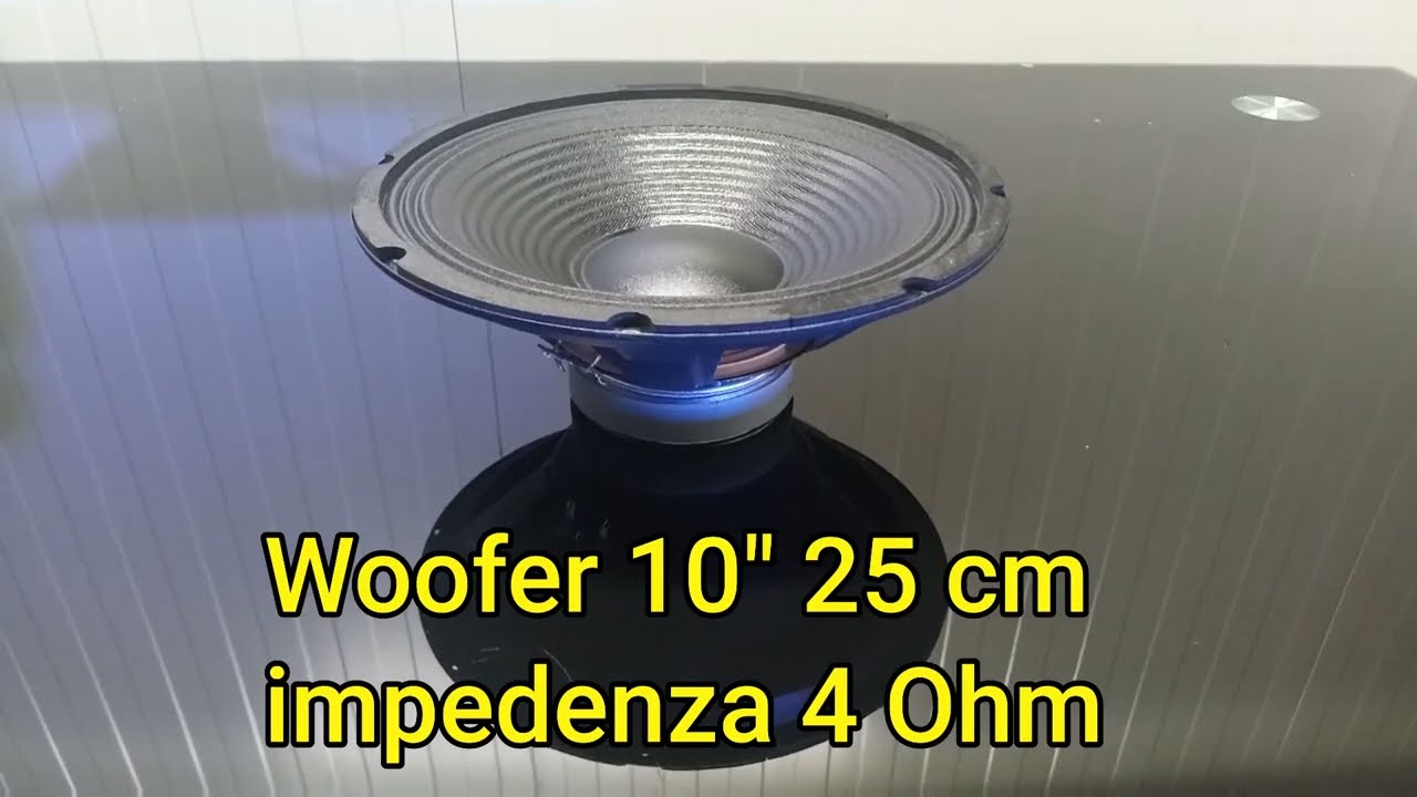 Woofer Plug & Sound 300W 10'' 25.5cm 4 Ohm - Altoparlante Per Auto O Casse Acustiche, Nero - Foto 2