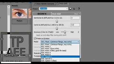 How to make Evil Rampaging Socerer on Sony Vegas Pro