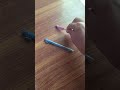 Pen Sounds Funnyimages Funnysounds Sounds Funnyaudio 