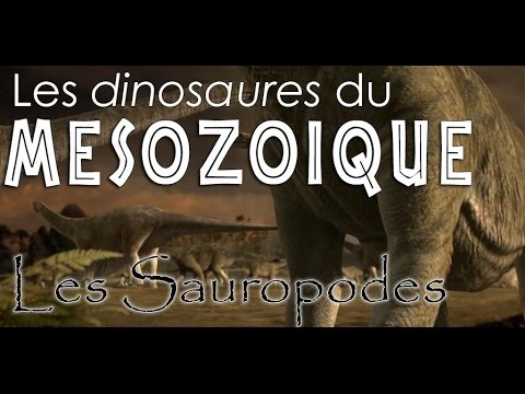 Vidéo: Les sauropodes peuvent-ils franchir le mur du son ?
