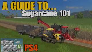 Farming Simulator 17 PS4: A Guide to... Sugarcane 101 (Estancia Lapacho) screenshot 1