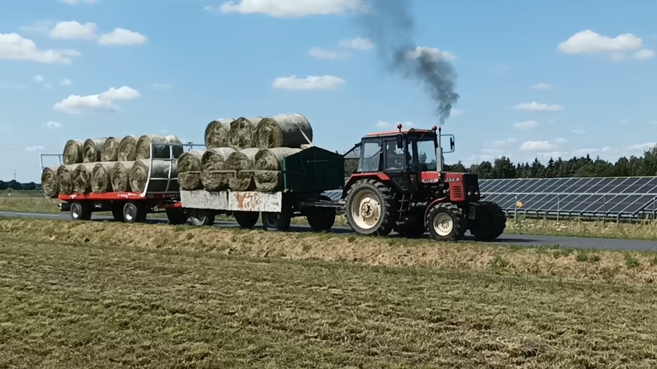 🌞WAKACJE 2024🌞ŻNIWA🔥SIANOKOSY☘️KUKURYDZA NA KISZONKĘ🌽OBORNIK💩