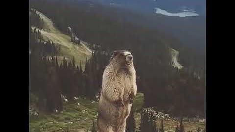 #Gopher #Screamer in the Hi-way #short