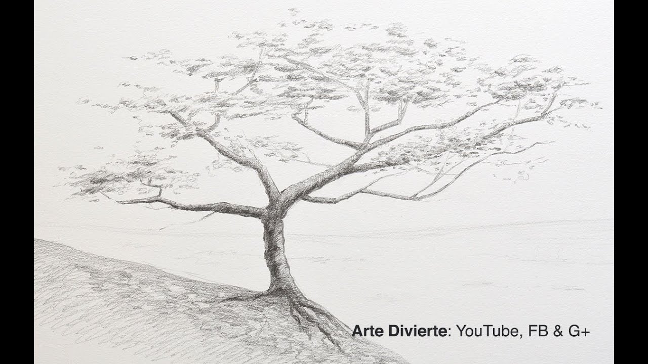 How to draw a tree in pencil - thptnganamst.edu.vn