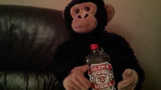 Skint - The Mackem Monkey's Thoughts
