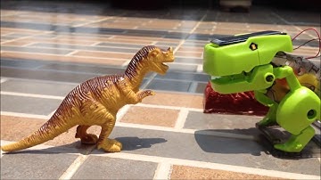 4 in 1 Solar Power Robot, Drill Machine, Insect And Dinosaur : Exploring Robotics
