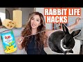 8 life saving rabbit hacks you need to know