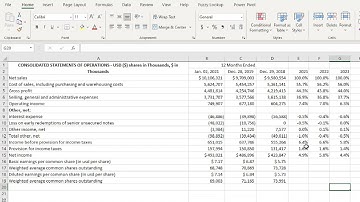 Financial Statement Analysis Project Chapter 4e