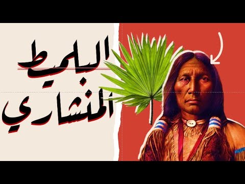 فوائد البلميط المنشاري