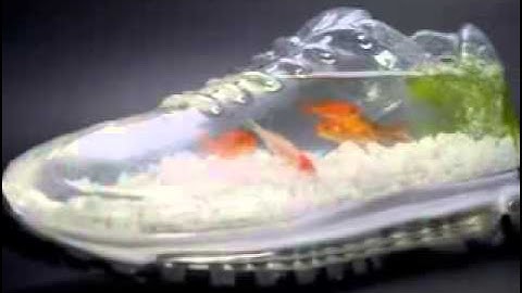 Top 10 Hồ Cá Đẹp và Độc - Thiên Đường Cá cảnh