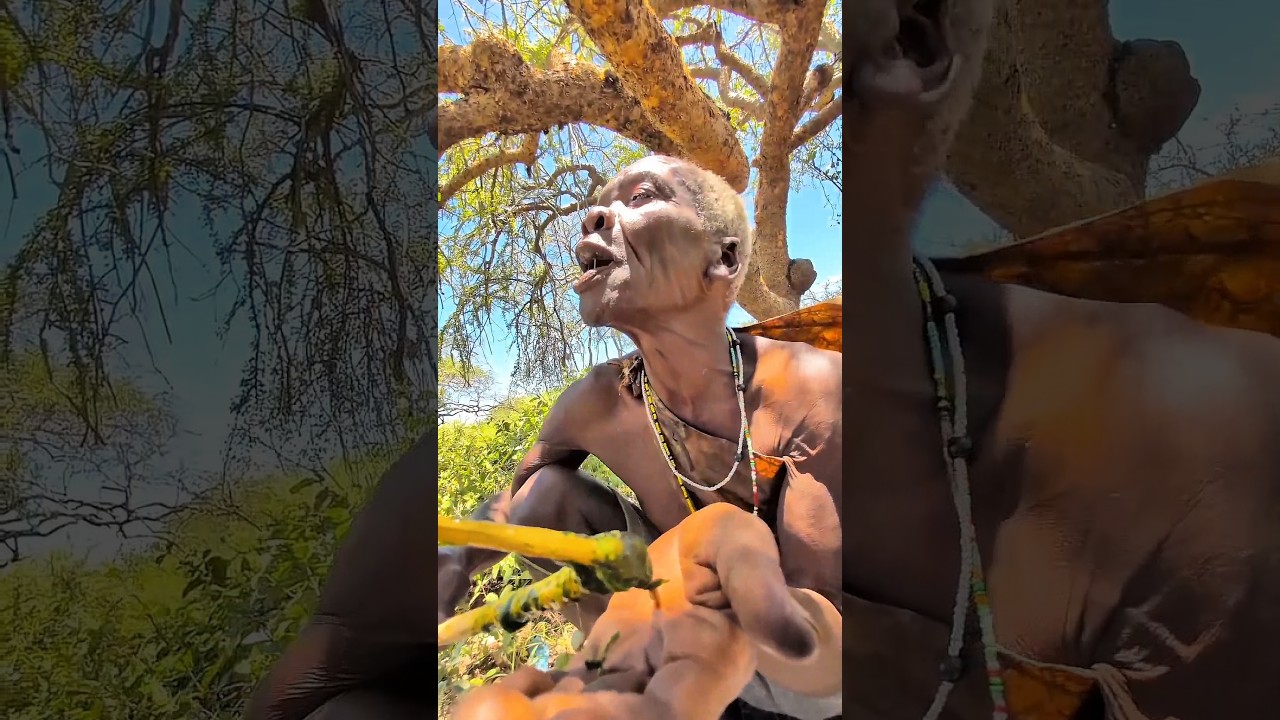 Wild Bush Cooking with Hadza Elder | Authentic Tribal Food Story.#shorts #traditionalcooking