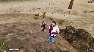 (BR) NEW Z MONTAGE #1