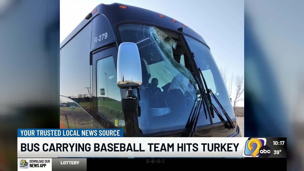 Clarke University baseball bus tussles with a turkey - YouTube