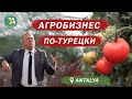 Агробизнес по-турецки. От баклажана до банана