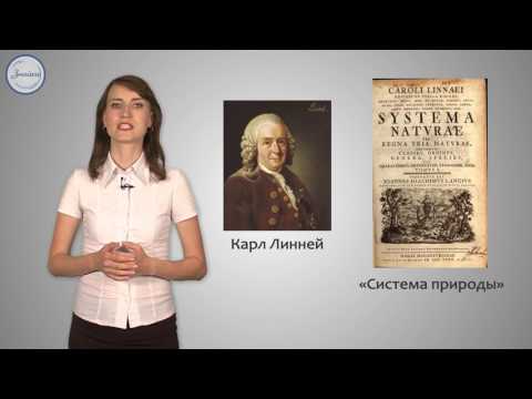 Биология 6 класс. Систематика – наука о классификации