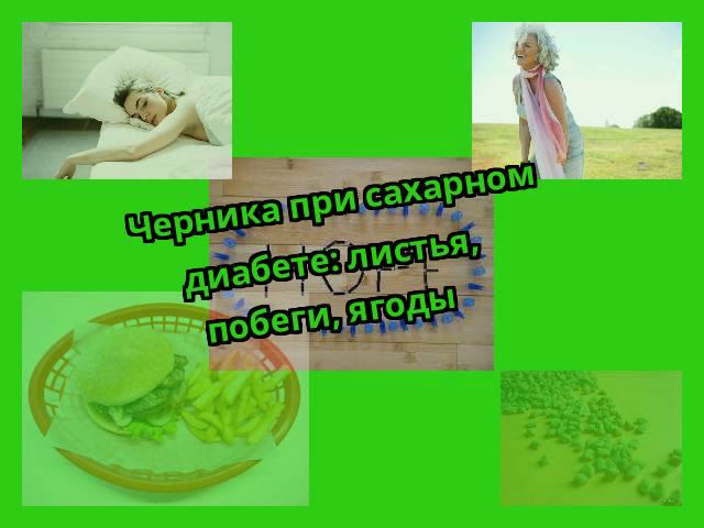 Черника при сахарном диабете: листья, побеги, ягоды